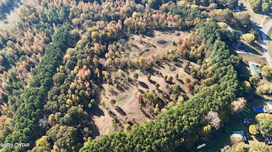 0 Hamer Rd, Dyersburg, TN 38024 - photo 4