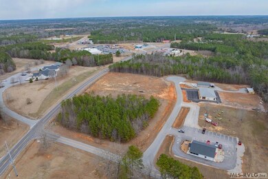 Aerial Overview (Food Lion shopping center in the