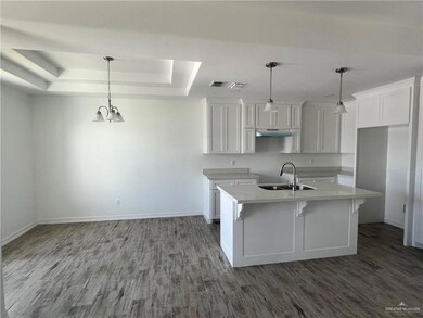 124 Spanish Oak Dr, Alamo, TX 78516 - photo 2