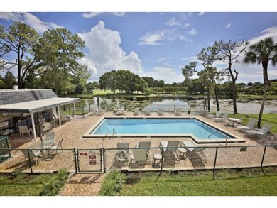 View of the pool