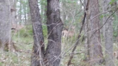 0 Fairview Ridge Rd, Creola, OH 45622 - photo 5