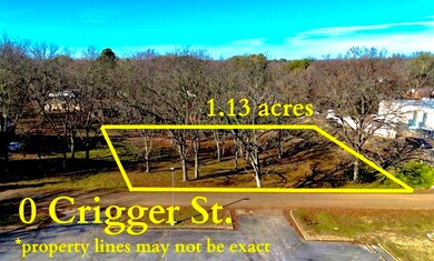 0 Crigger St, Munford, TN 38058 - photo 7