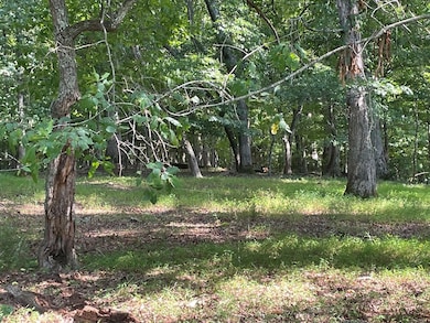 Level area