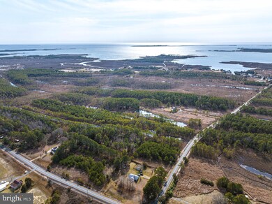 2439 Toddville Rd, Wingate, MD 21675 - photo 4