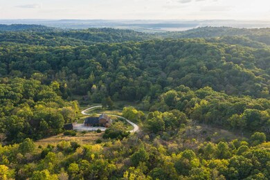 2145 Wildcat Hollow Rd, Nebo, IL 62355 - photo 2