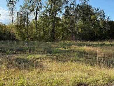 43439 Springwood Way, Hammond, LA 70403 - photo 2