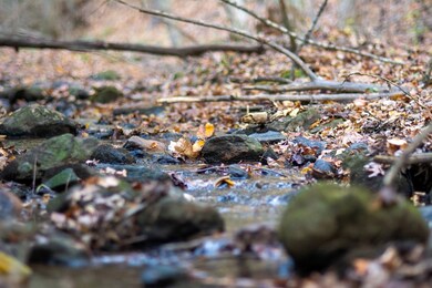 TBD Shady Grove Rd, Indian Valley, VA 24105 - photo 7