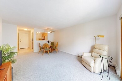 100 Governors Dr unit 15, Winthrop, MA 02152 - photo 6