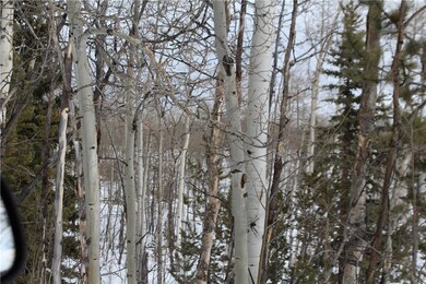 64 Rhea Rd, Como, CO 80432 - photo 5