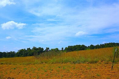 Lot for sale on Spring River2