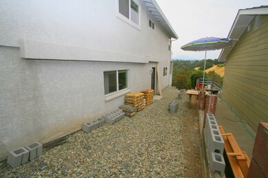 North side yard