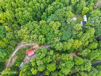 13-DJI_0635