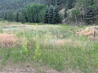 7700 Junkins Park, Westcliffe, CO 81252 - photo 7