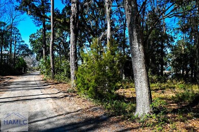 Lot 8 E 1st St, Midway, GA 31320 - photo 2