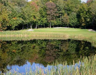 Other. Par 3 8th hole