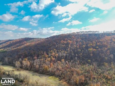 0 US Highway 11 N, Attalla, AL 35954 - photo 5