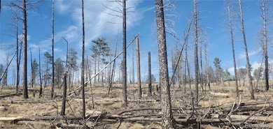 Lot 585 Leslie Loop unit 585, Fort Garland, CO 81133 - photo 6