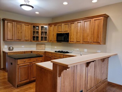 211 Robinson Way, Batavia, IL 60510 - photo 5