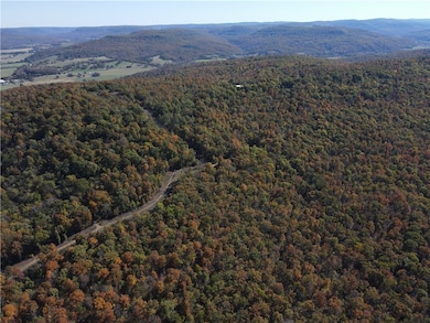 0 Cr 935 unit 1329170, Berryville, AR 72616 - photo 7