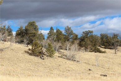 176 Musket Ln, Como, CO 80432 - photo 7