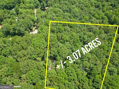 3.07 ACRES Ann's Aly, Clarkesville, GA 30523 - photo 2