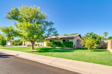 Grass Front Yard