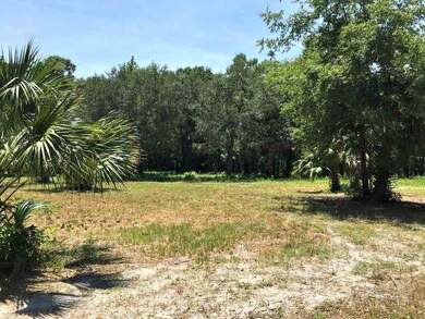XX Wakulla Beach Rd, Crawfordville, FL 32327 - photo 4