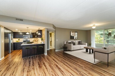 625 19th St NW unit 603, Rochester, MN 55901 - photo 5