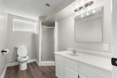 Full bathroom featuring a stall shower, dark wood-style flooring, and vanity