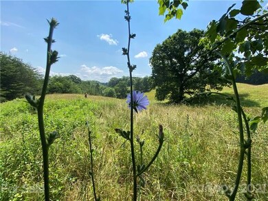 99999 Tweed Rd, Leicester, NC 28748 - photo 5