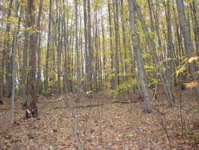 Woods