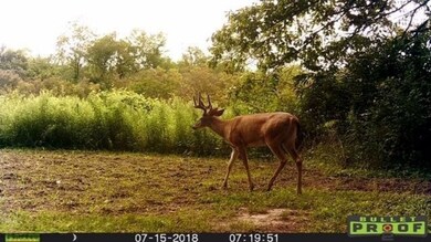 4506 W U Ave, Schoolcraft, MI 49087 - photo 6