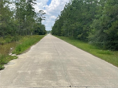 Looking west from the front of the lot.