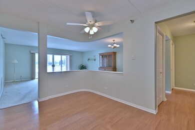 7091 W Touhy Ave unit 209, Niles, IL 60714 - photo 7