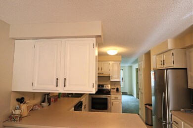 IMG_0437 (2)