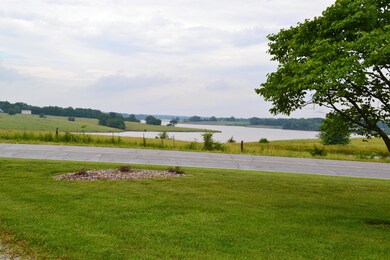 4 view of Thomas Hill Lake inlet