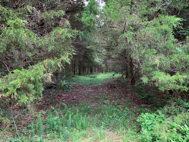 25 ACRES FOR SALE TANEY CO