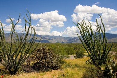 Open space and lusch vegetations
