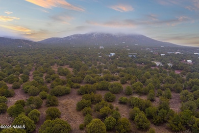 2409 E New Moon Way, Red Lake, AZ 86046 - photo 6