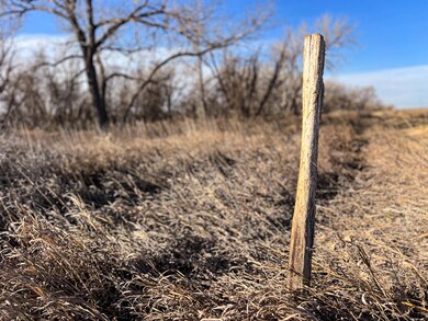 12120 Colorado 59, Sedgwick, CO 80749 - photo 4