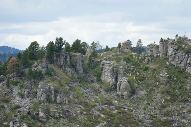 TBD Majestic Heights Rd unit TBD Mountaintop Maje, Sturgis, SD 57785 - photo 7