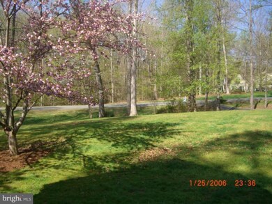 7205 Bloomsbury Ln, Spotsylvania, VA 22553 - photo 3