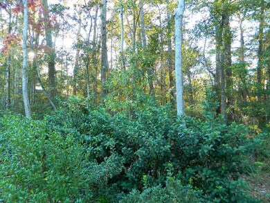 0 Old Landing Rd, Covington, LA 70433 - photo 3