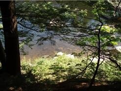 0 River Rd unit 4672950, Plymouth, NH 03264 - photo 7