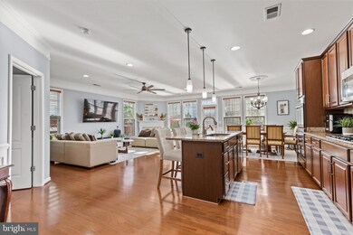 41831 Apatite Square, Aldie, VA 20105 - photo 4