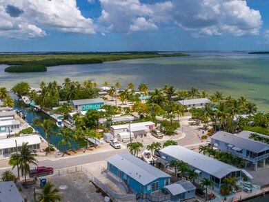NEIGHBORHOOD AERIAL
