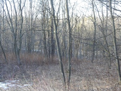 DSCN0649
