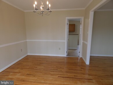 7012 Stone Mill Place, Alexandria, VA 22306 - photo 6