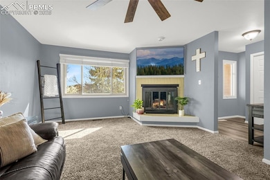 Carpeted living area featuring baseboards, a ceili