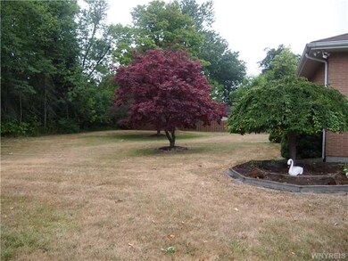 Yard. This is the side yard!!
